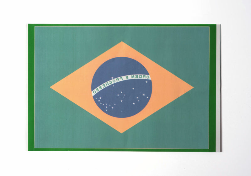 Adesivo Invertido para Vidro Bandeira do Brasil | BoldFlags®